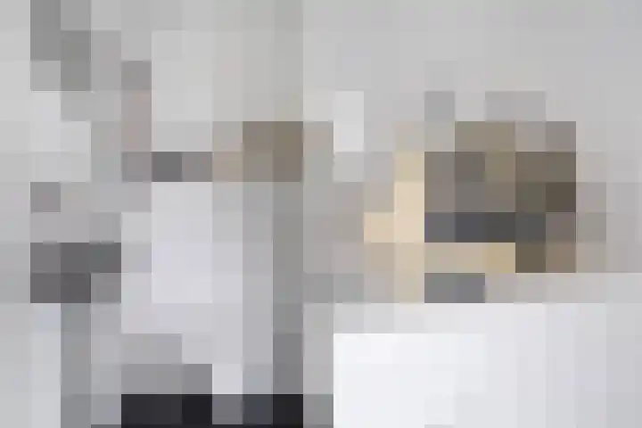 Keerkring 151 Capelle aan den IJssel thumbnail 6