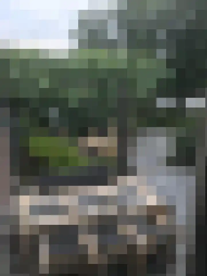 Keerkring 151 Capelle aan den IJssel thumbnail 60