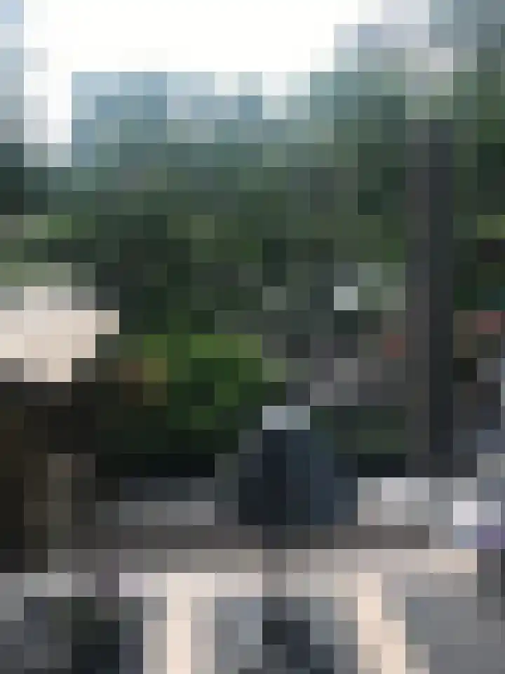 Keerkring 151 Capelle aan den IJssel thumbnail 61