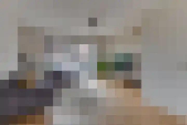Keerkring 2 Heerhugowaard thumbnail 10