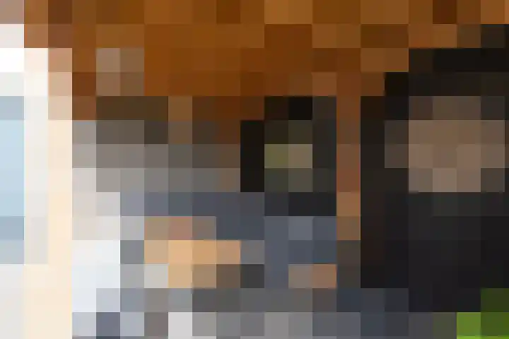Keerkring 2 Heerhugowaard thumbnail 42