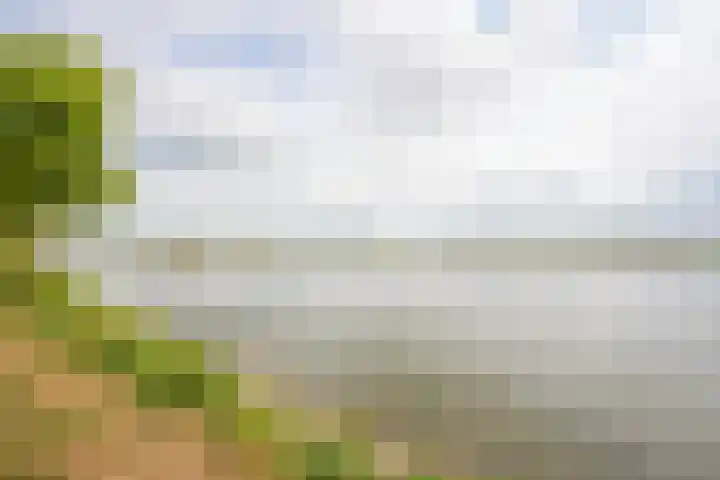 Keerkring 2 Heerhugowaard thumbnail 52