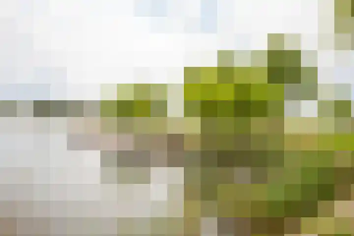 Keerkring 2 Heerhugowaard thumbnail 53