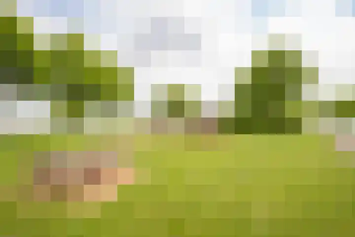 Keerkring 2 Heerhugowaard thumbnail 54