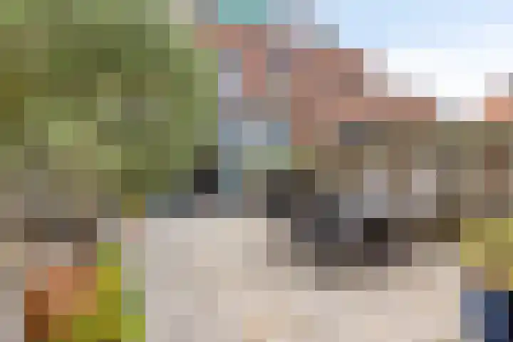 Keerkring 3 Heerhugowaard thumbnail 19