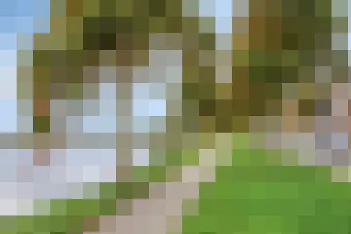 Keerkring 3 Heerhugowaard thumbnail 25