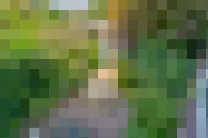 Keerkring 4 Capelle aan den IJssel thumbnail 12