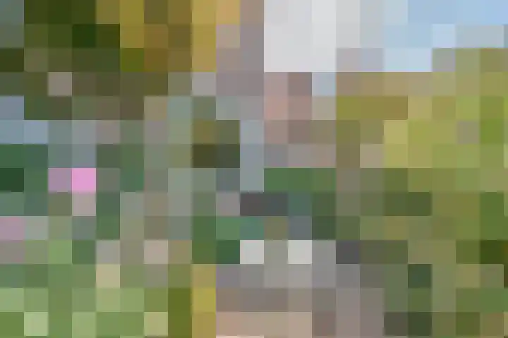 Keerkring 4 Capelle aan den IJssel thumbnail 14