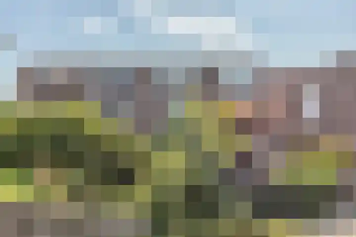 Keerkring 4 Capelle aan den IJssel thumbnail 22