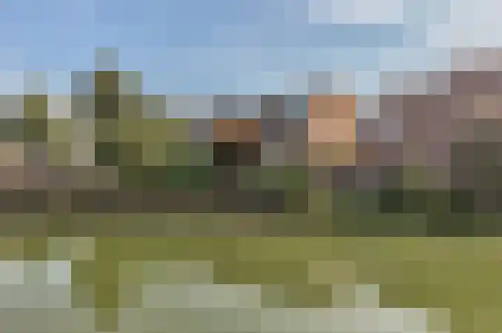 Keerkring 4 Capelle aan den IJssel thumbnail 23