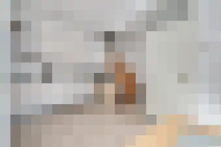 Keerkring 4 Capelle aan den IJssel thumbnail 7