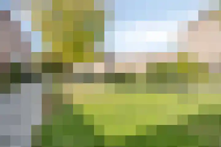 Keerkring 44 Amersfoort thumbnail 30