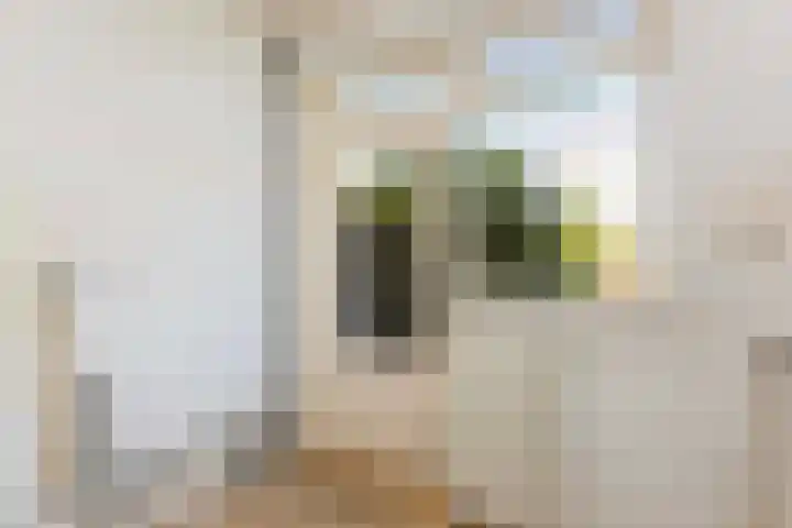 Keerkring 8 Amersfoort thumbnail 12