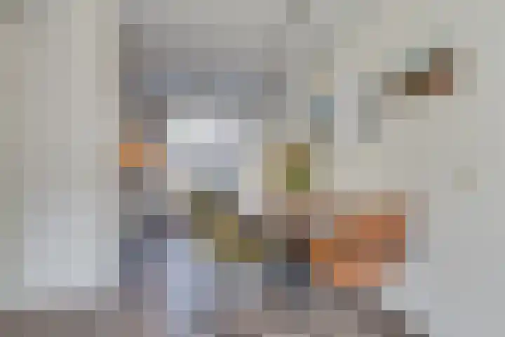 Keerkring 84 De Meern thumbnail 10
