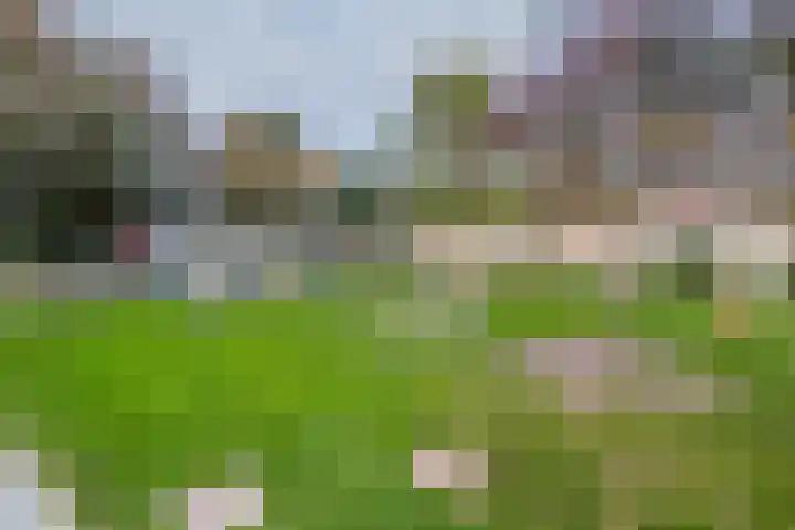 Keerkring 84 De Meern thumbnail 36