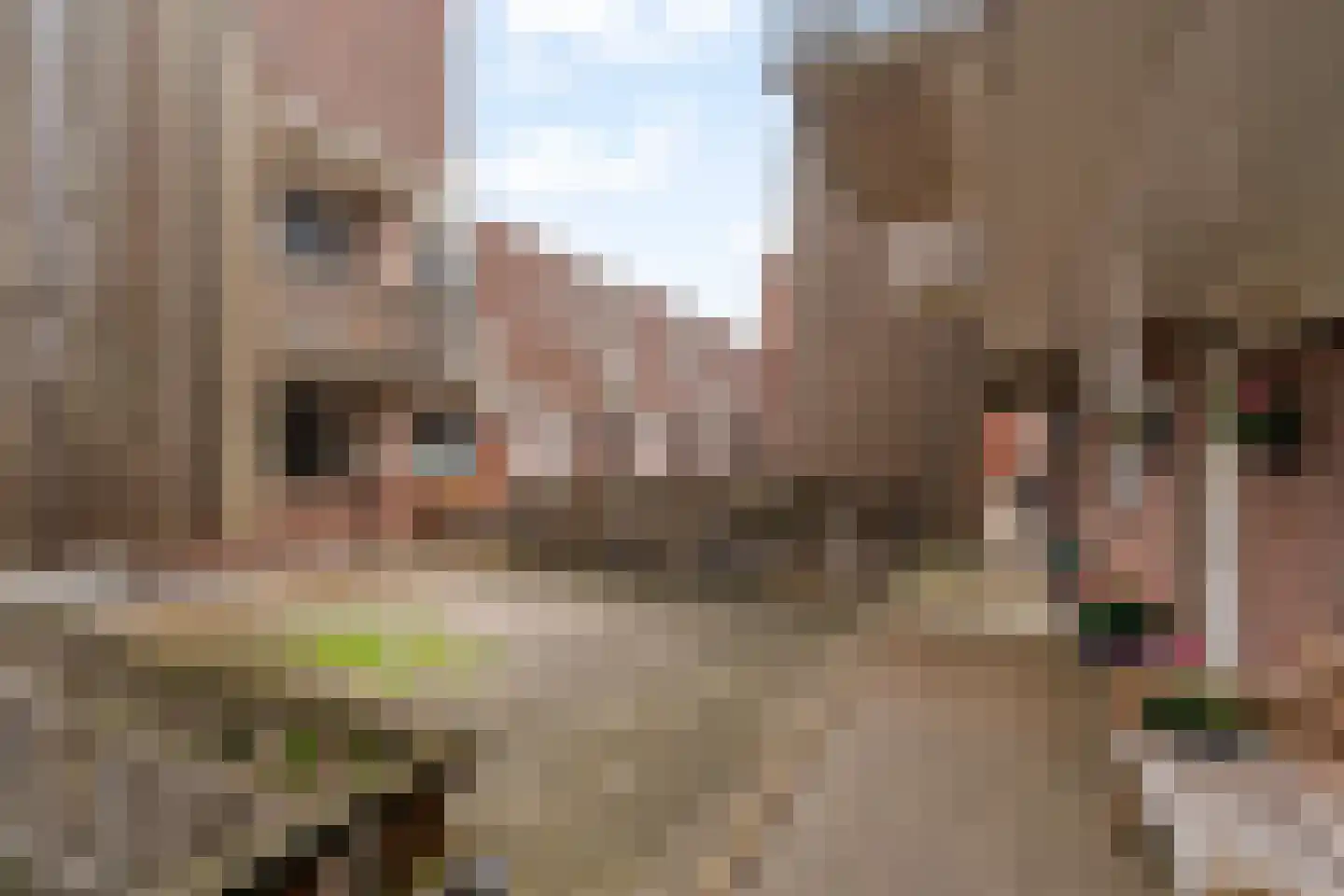 Keerkring 88 Capelle aan den IJssel thumbnail 30