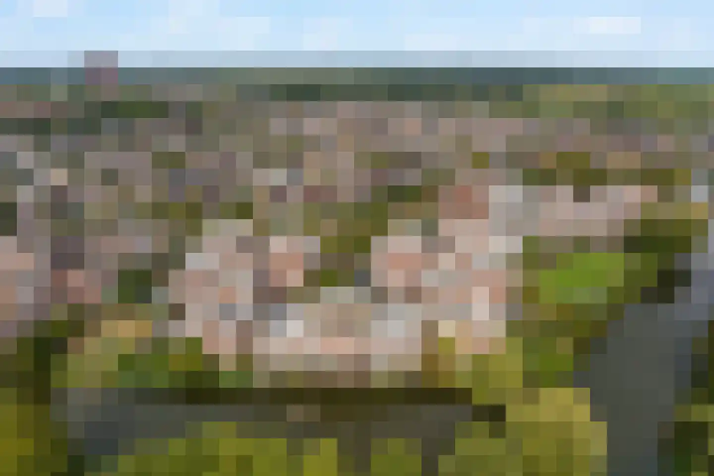 Keerkring 88 Capelle aan den IJssel thumbnail 36
