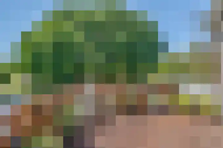 Keerkring 9 Capelle aan den IJssel thumbnail 12