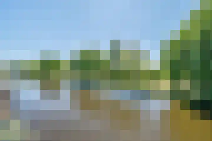 Keerkring 9 Capelle aan den IJssel thumbnail 13