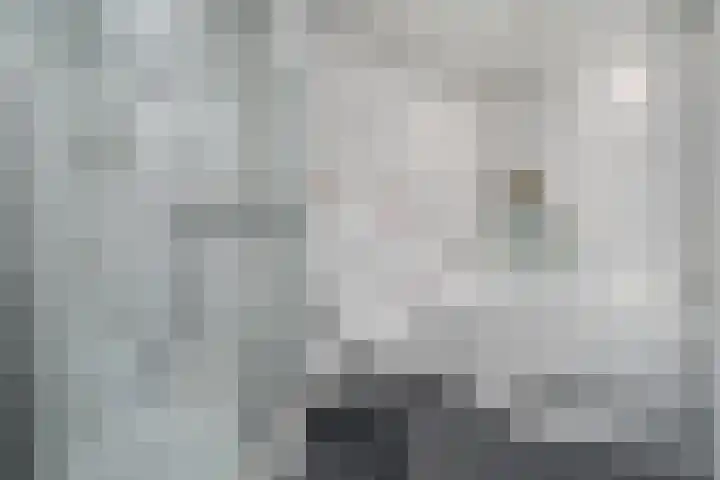 Keerkring 9 Capelle aan den IJssel thumbnail 21