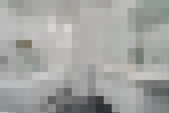 Keerkring 9 Capelle aan den IJssel thumbnail 22
