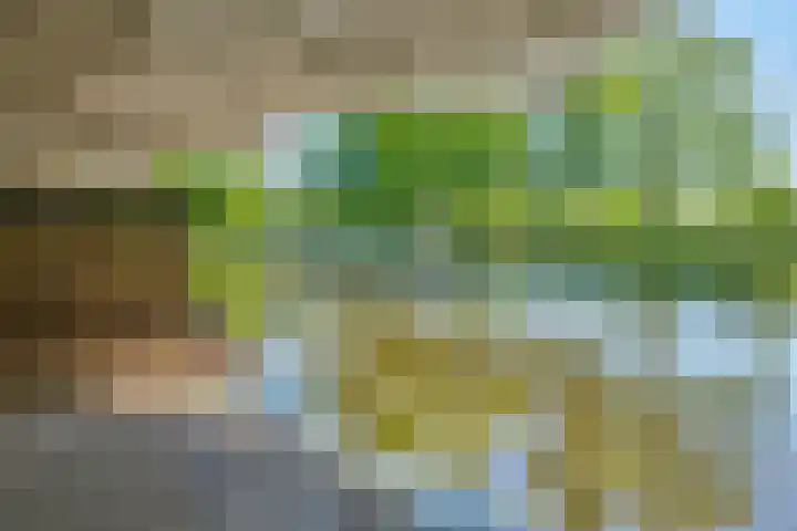 Keerkring 9 Capelle aan den IJssel thumbnail 24
