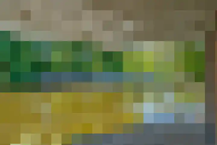 Keerkring 9 Capelle aan den IJssel thumbnail 25