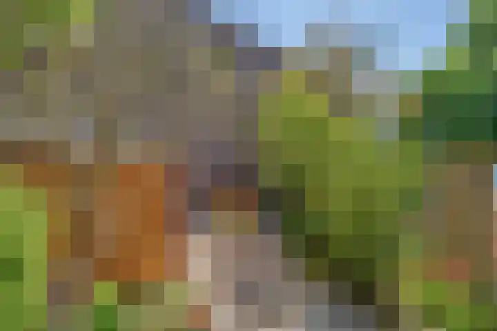 Keerkring 9 Capelle aan den IJssel thumbnail 29