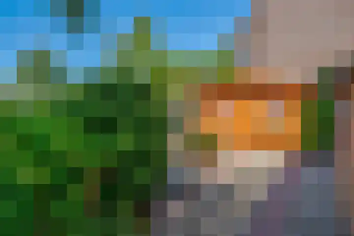 Keerkring 9 Capelle aan den IJssel thumbnail 30
