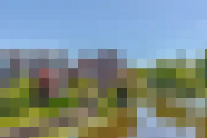 Keerkring 9 Capelle aan den IJssel thumbnail 34