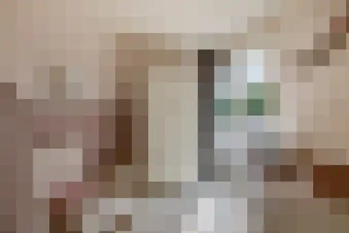 Keerkring 92 Capelle aan den IJssel thumbnail 25