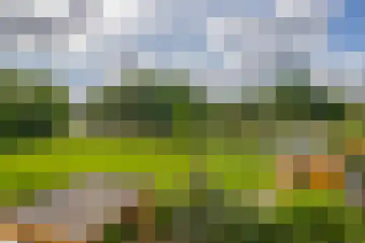 Keerkring 92 Capelle aan den IJssel thumbnail 38