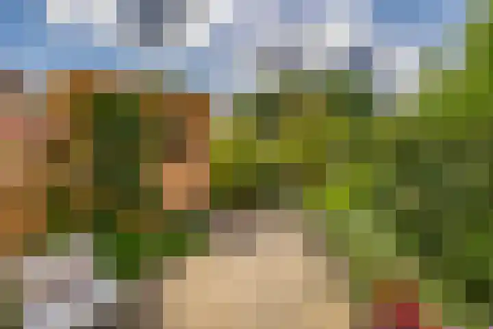 Keerkring 92 Capelle aan den IJssel thumbnail 39