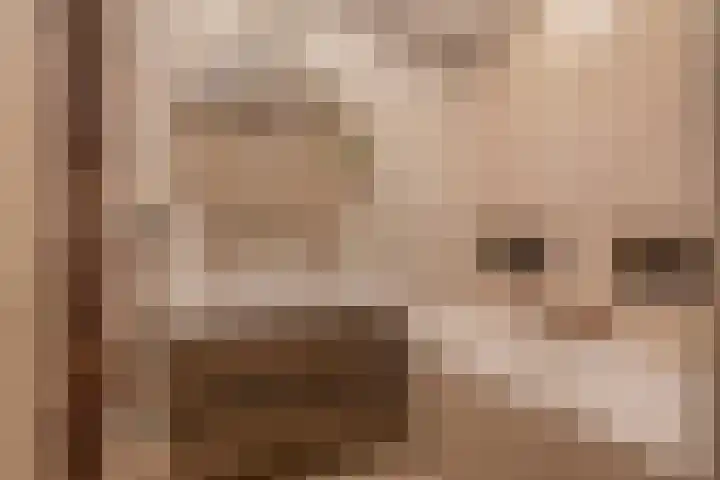 Keerkring 92 Capelle aan den IJssel thumbnail 4