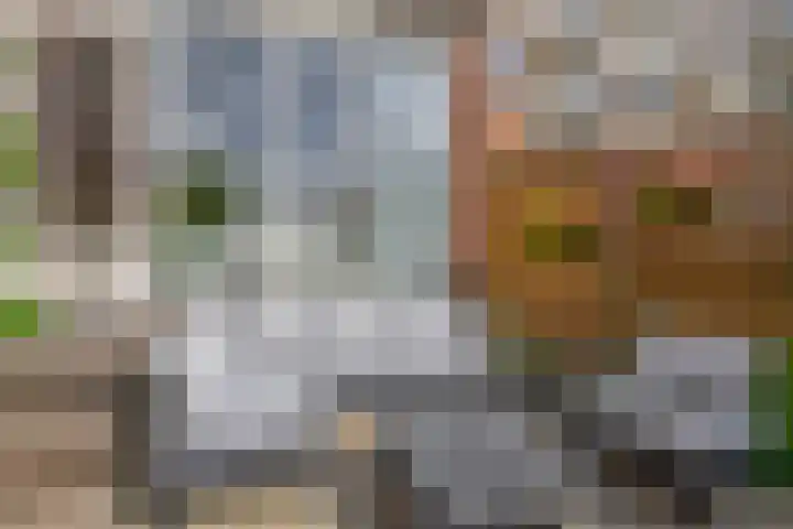 Keerkring 92 Capelle aan den IJssel thumbnail 40