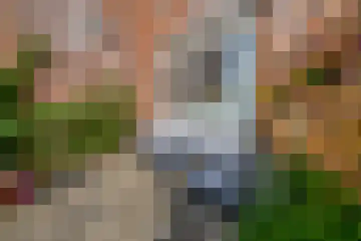 Keerkring 92 Capelle aan den IJssel thumbnail 41