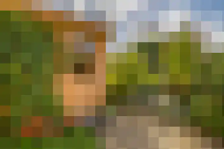 Keerkring 92 Capelle aan den IJssel thumbnail 43