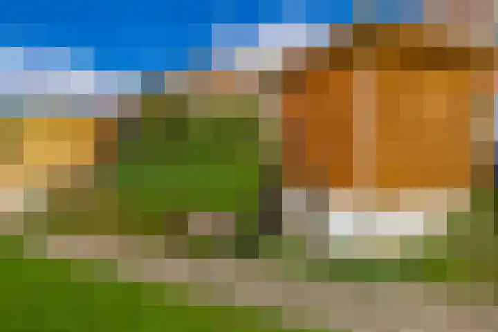 Keerkring 92 Capelle aan den IJssel thumbnail 44
