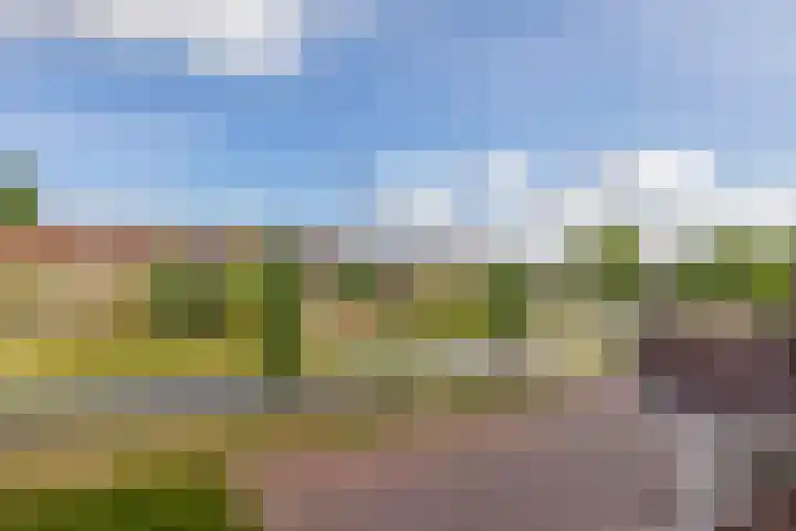Keerkring 92 Capelle aan den IJssel thumbnail 53