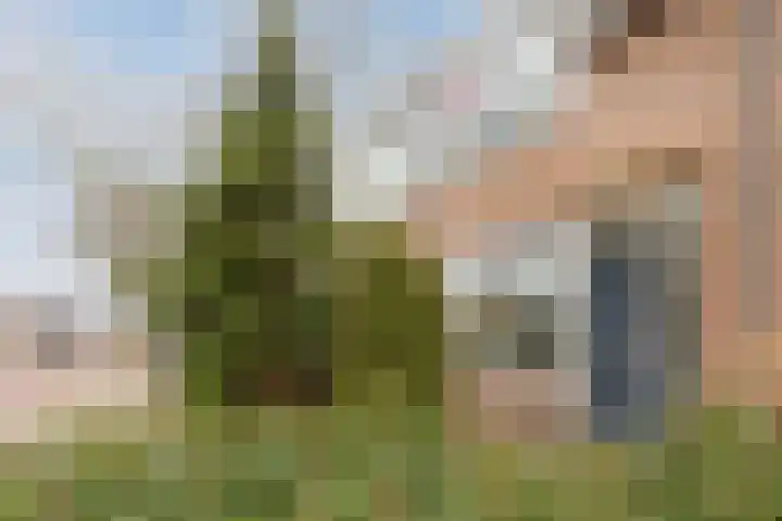 Keerkringplein 4 Utrecht thumbnail 5