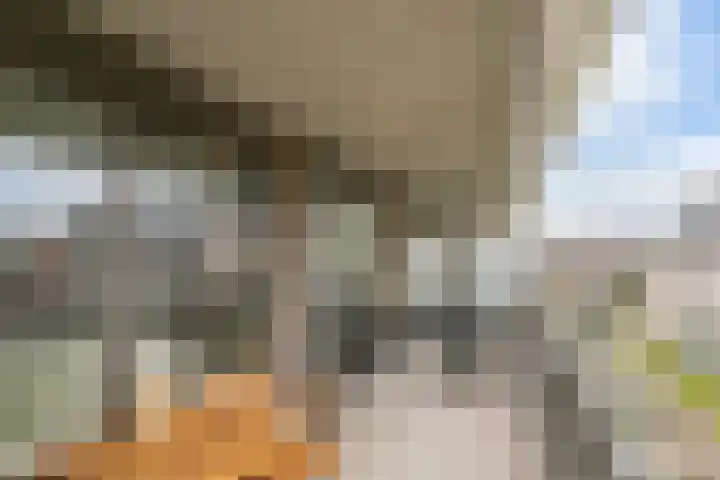 Keermanslaan 122 Breda thumbnail 26