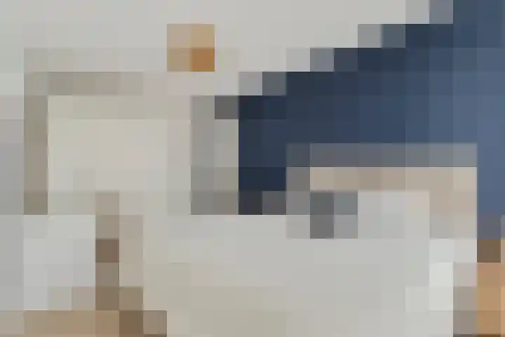 Keermanslaan 122 Breda thumbnail 28