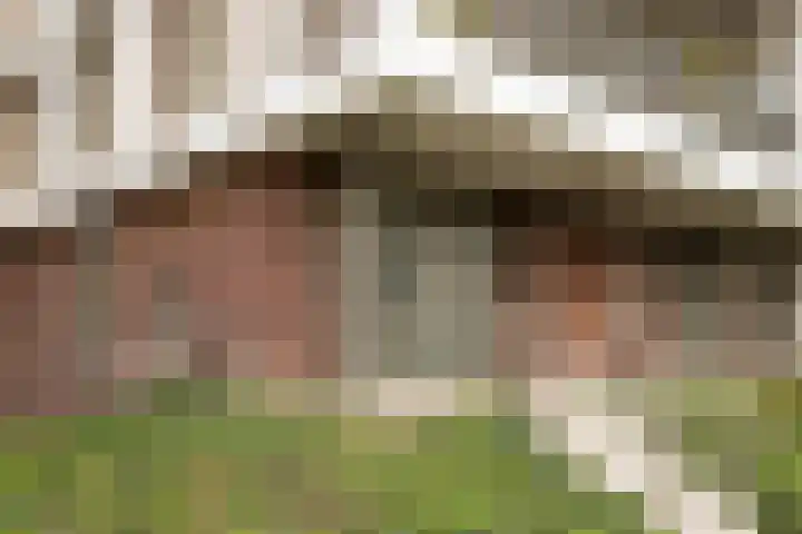 Keermanslaan 140 Breda thumbnail 6