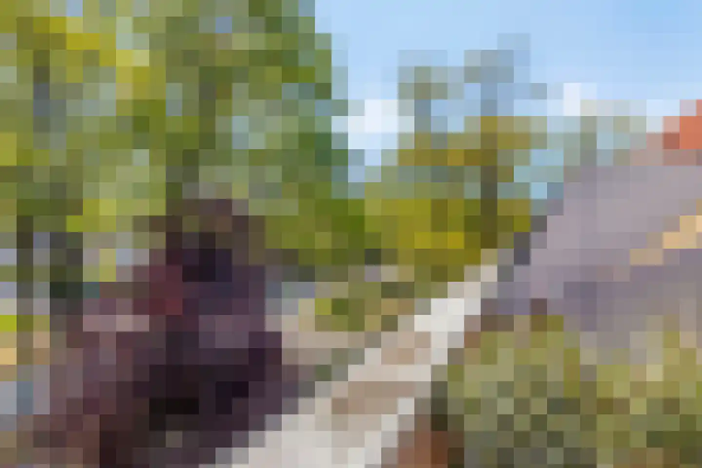 Keermanslaan 61 Breda thumbnail 22