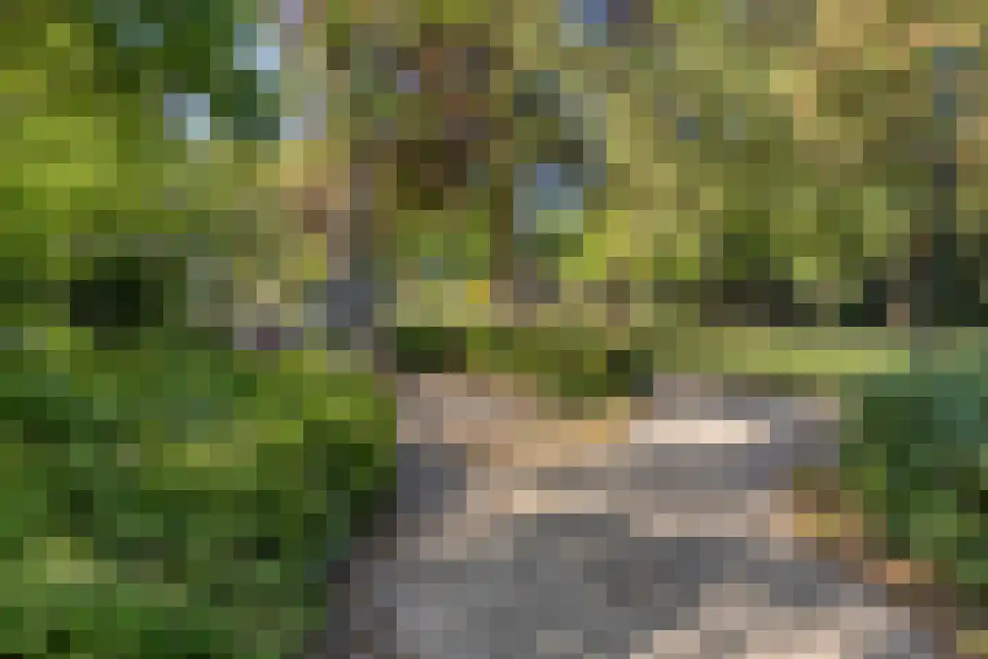 Keermanslaan 61 Breda thumbnail 32
