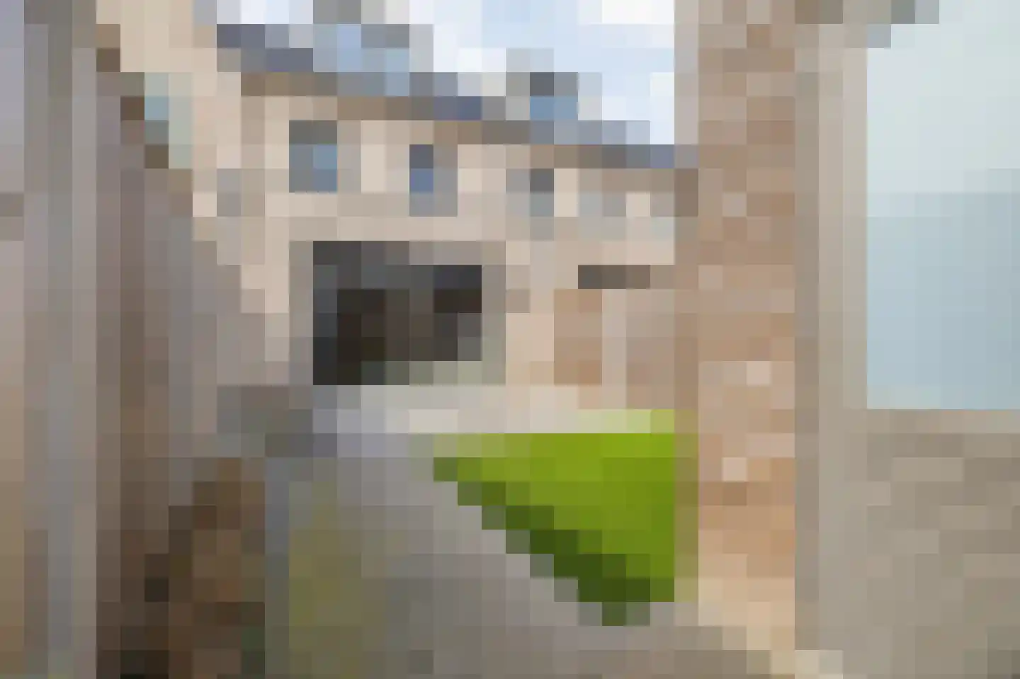 Keermanslaan 78 Breda thumbnail 63