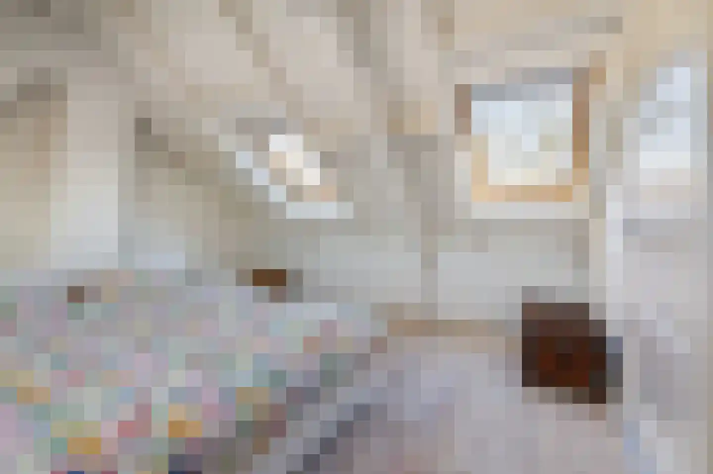 Keermanslaan 8 Breda thumbnail 5
