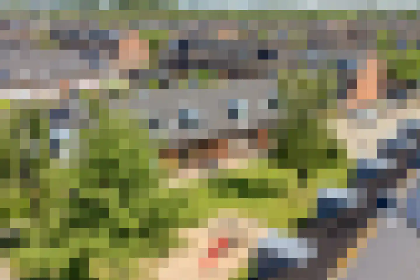 Keermuur 3 Houten thumbnail 33