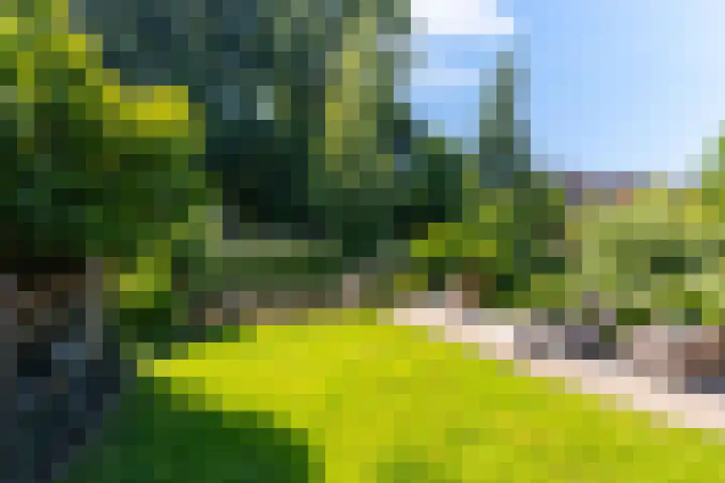 Keern 107 Hoorn thumbnail 28