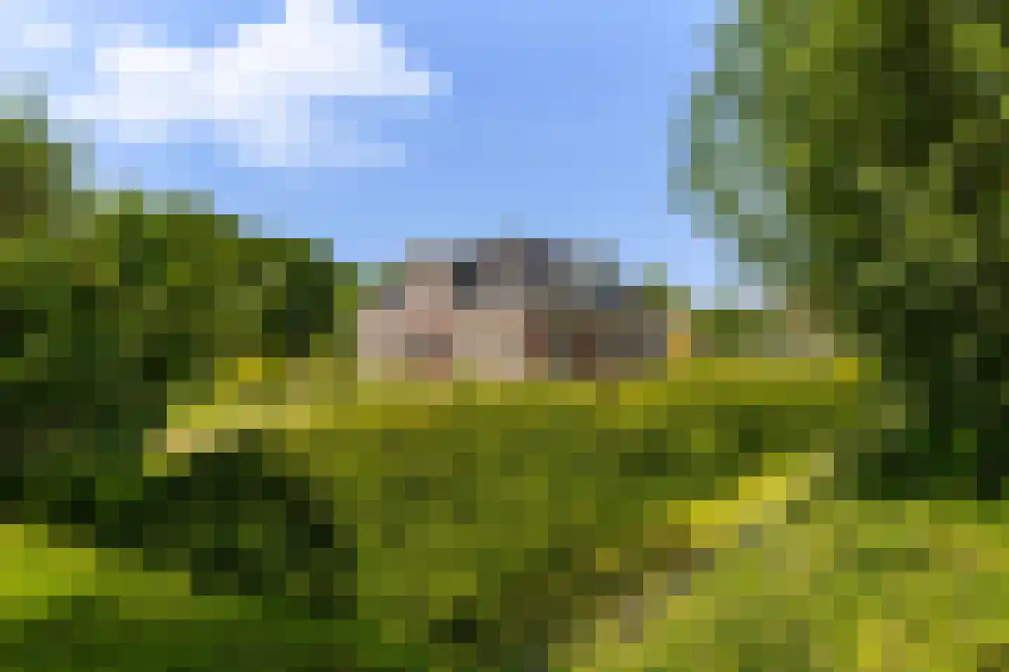 Keern 219 Zwaag